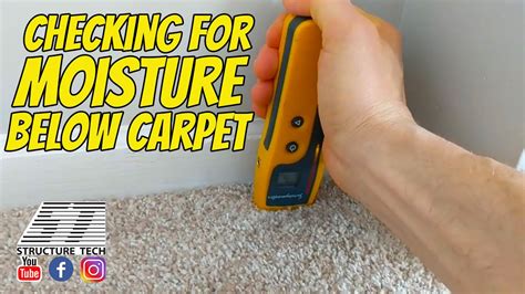 moisture inspection meter|acceptable moisture levels in carpet.